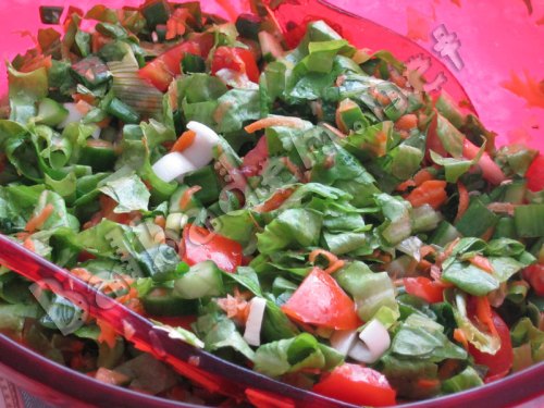 Tamamen organik Yeşil Salata